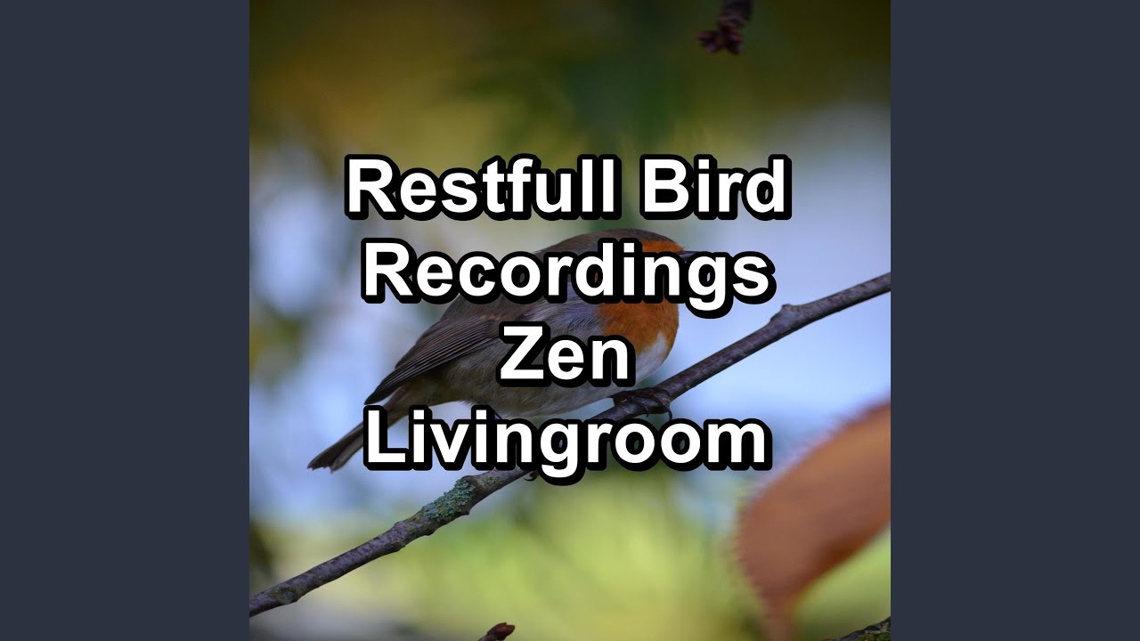 Relaxing Bird Sounds Stress Relief To Loop for 10 Hours - YouTube