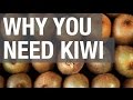 Why you need Kiwi!