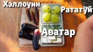 Рататуй, Хэллоуин, Аватар - первый взгляд. О них говорят все. Стоит того или нет?