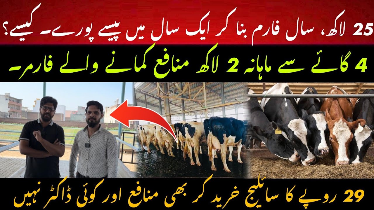 4 cows say 2 lac monthly profit II 25 lac me dairy farming II Maximum profit from dairy farm