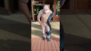 beautiful looks in sunshine of this rainbow reticulated python snake #snakes #rainbow Wealth