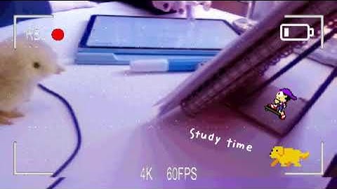 rewriting notes (⁠=⁠^⁠･⁠ｪ⁠･⁠^⁠=⁠) VHS 90s style #studying