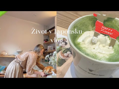 VLOG | Vánoce v Japonsku