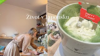 VLOG | Vánoce v Japonsku