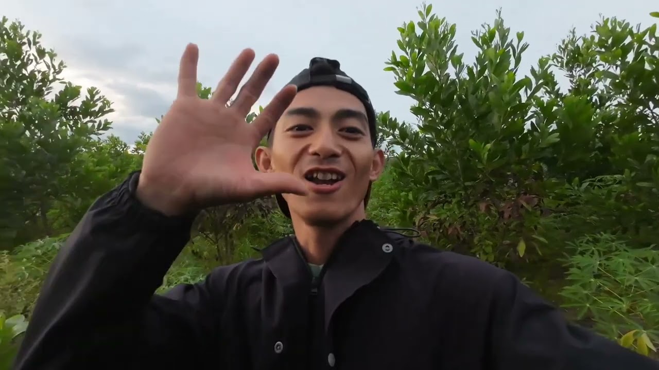 Bảy Chim Cút Rừng Bác Ái Ninh Thuận.