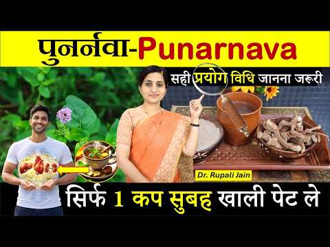 Right Way to Use Punarnava ( पुनर्नवा ) |  वात-पित्त-कफ तीनो को संतुलित कैसे करें? #ayurveda #health