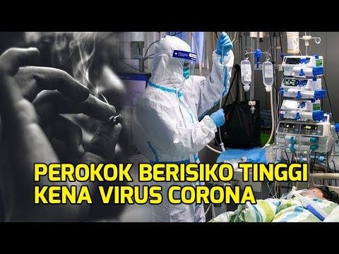 Video: Perokok Berisiko Tinggi Terkena Coronavirus