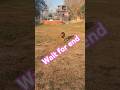 Police Dog Training Obidence Defencek9 2025 Police Dog Training Obidence Defencek9 2025