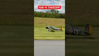 YAK-11 Takeoff! #rc #rcplane #aviation