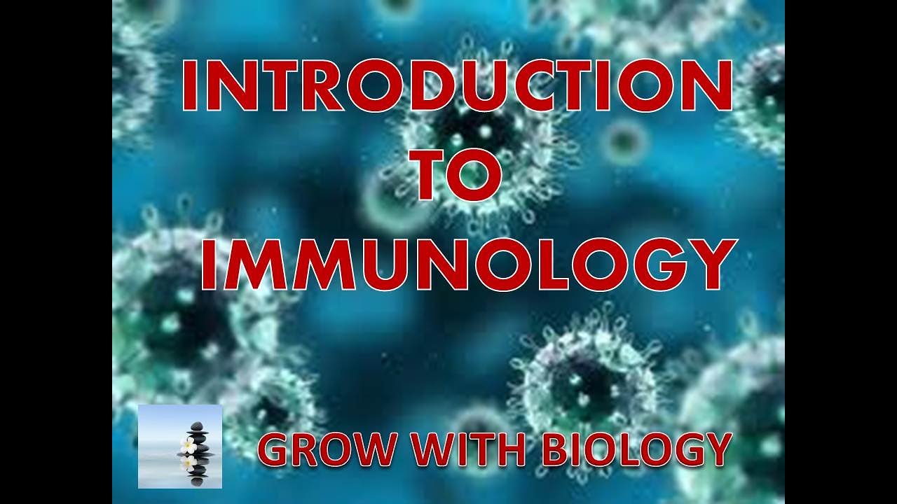 INTRODUCTION TO IMMUNOLOGY - YouTube
