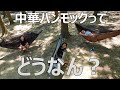 【Lenzai】中華ハンモックってどうなん？【Overmont】
