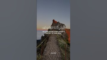 مشاري العفاسي يبدع في تلاوة "وكل إنسان ألزمناه طائره في عنقه" | سورة الإسراء تلاوة خاشعة #quran
