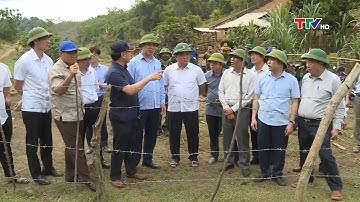 Khảo sát mô hình phát triển nông nghiệp trên địa bàn huyện Mường Lát| PTTH Thanh Hóa