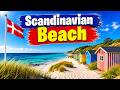 Scandinavian Beach in Denmark 🇩🇰 | Exploring Denmark's Most Beautiful Nordic Beaches