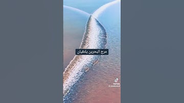 #سورة_الملك #coran #دويتو #quran_karim #quran_karim #ديننا_و_دنيانا