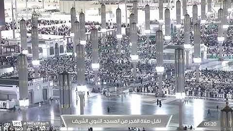 صلاة الفجر للشيخ عبدالله البعيجان من المسجد النبوي الشريف 11 ربيع الآخر 1447 من سورة النساء 