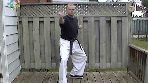 Taekwondo: Hapkido: Foundations: Back-fist side strike in L-stance - front view