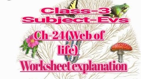 Class-3 Subject-Evs Ch-24( Web of life) worksheet