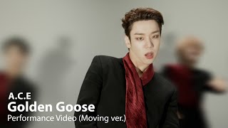 Watch Ace Golden Goose video