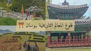 فلوغ المعالم التاريخية بمدينة بوسان من عصر جوسون و جوريو ... ⛩✨