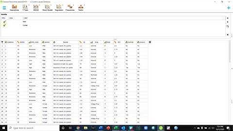 Selecting Subsets of a Sample ("Filtering") in JASP