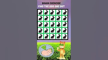 🧩🔍Odd One Out Photo Quiz Challenge! #quizgames #quiztest #quiztime #puzzlegame