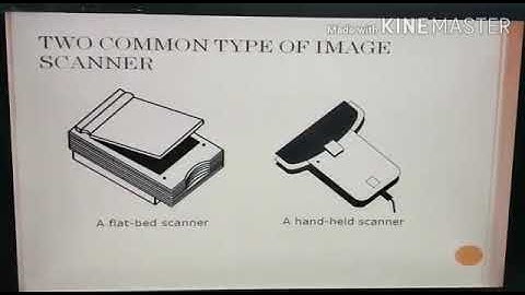 MLZS JHANSI  CLASS 9 Computer Data Scanning and input Devices