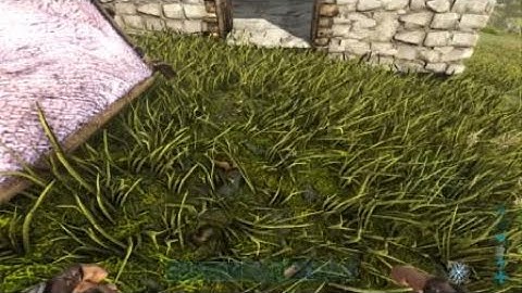 ARK: eggs disappeared
