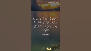 #تلاوة_خاشعة للشيخ #احمد_النفيس من #سورة_النحل
