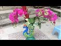 Beautiful Peacock Flower Pot from Cement | DIY Cement Craft Ideas | Flower Vase