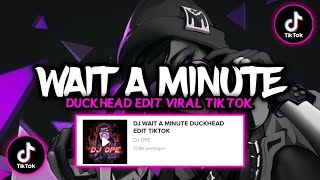 DJ WAIT A MINUTE DUCKHEAD EDIT VIRAL TIKTOK!!