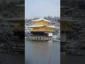 京都大雪，雪頂金閣寺，世界第一（笑）！！！ 雪に覆われる金閣寺、最高でしょう！ #金閣寺 #京都観光 #京都の天気