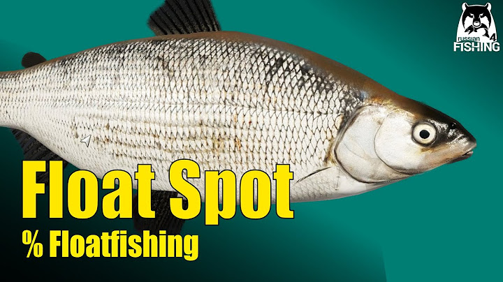 Russian Fishing 4 -  Ladoga Lake - Ludoga Whitefish percentages for float fishing #RF4