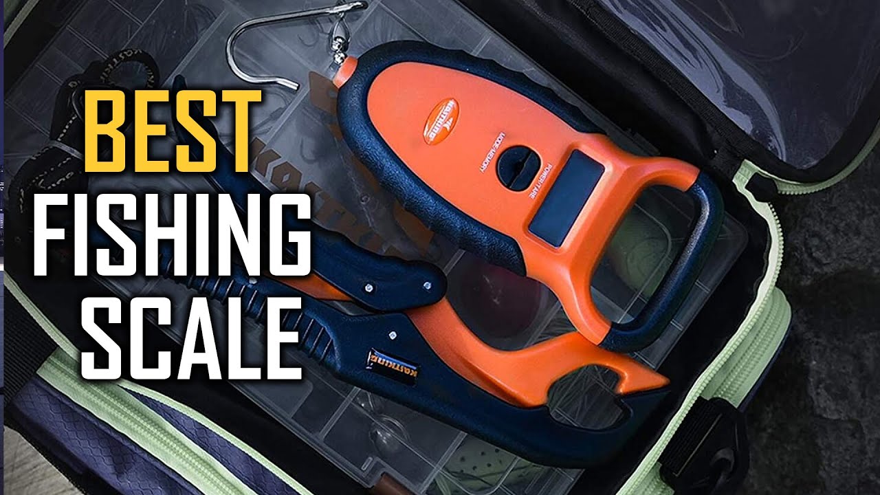 Best Fishing Scales to Buy in 2023 - Top 5 Fishing Scales Review