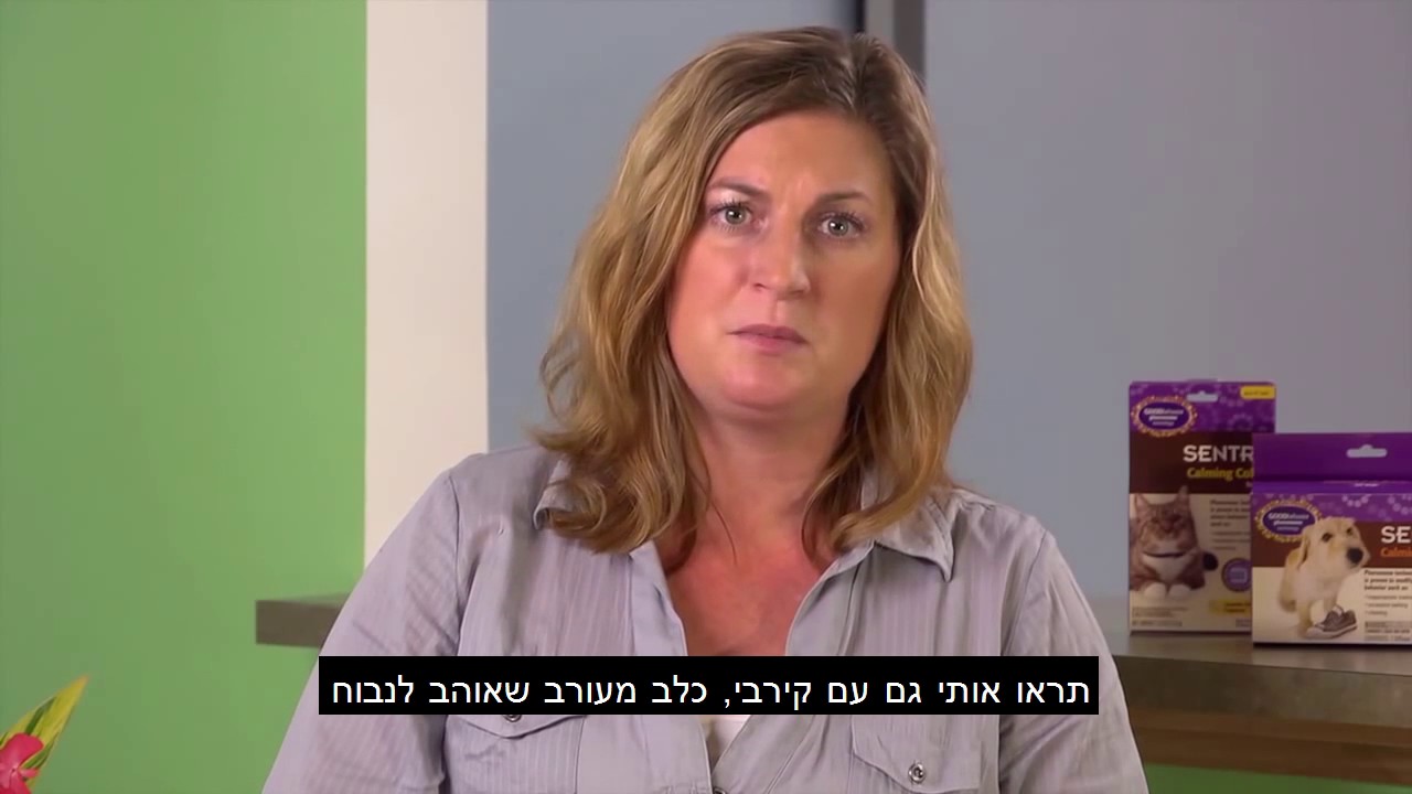 sentry good behavior stop that