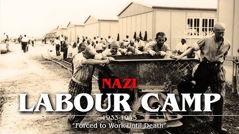 ENTIRE History of NAZI LABOUR CAMP | WW2 | Fall Asleep To | Documentary 