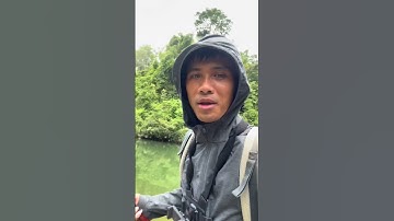 Câu Cá Chày Khủng Ở Suối Đông Bắc | Giant Barb Fishing in a Northern Stream