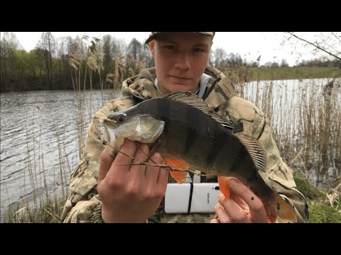 Видео: Что значит подобрал?