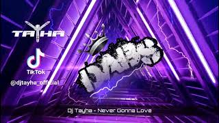 DJ Tayha - Never Gonna Love