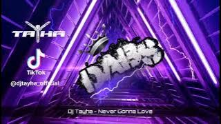 DJ Tayha - Never Gonna Love