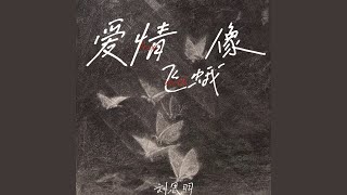 爱情像飞蛾