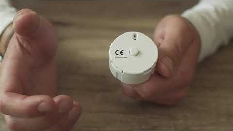 Recording Module Tutorial | The Bear Factory