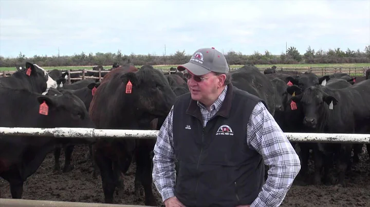 Mark Sebranek Irsik and Doll Feedyard