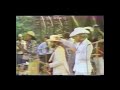 The Beach Boys - Live at Central Park, New York (September 1, 1977)