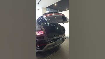 Byd Sealion 7 things you did not know