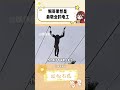 #万万没想到 #动物世界 #猴子