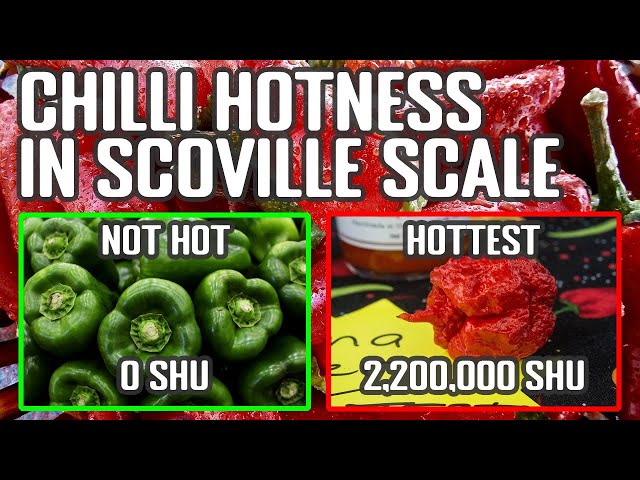 The Scoville Scale Explained & The Heat of Popular Peppers