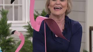 Barbara King 48" Tall Fluttering Bird Garden Stake on QVC