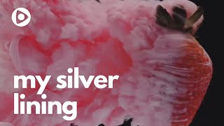 My Silver Lining - Encerramento A Dona Do Pedaço Tv Brinque