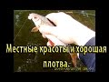 Рыбалка. Местные красоты и хорошая плотва.